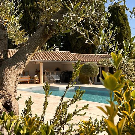 Mas Des Bambous Hotel Saint-Rémy-de-Provence Eksteriør billede