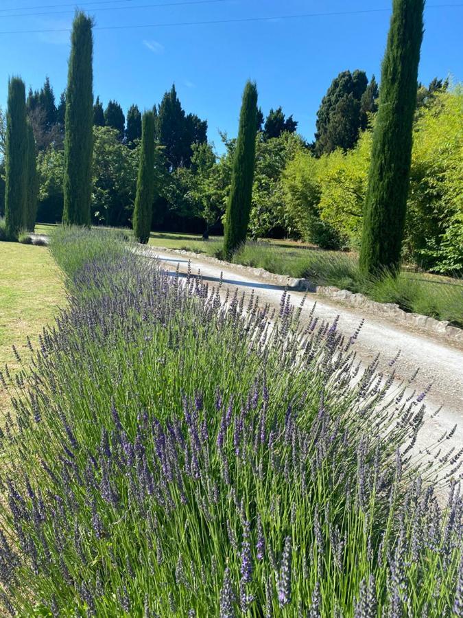 Mas Des Bambous Hotel Saint-Rémy-de-Provence Eksteriør billede