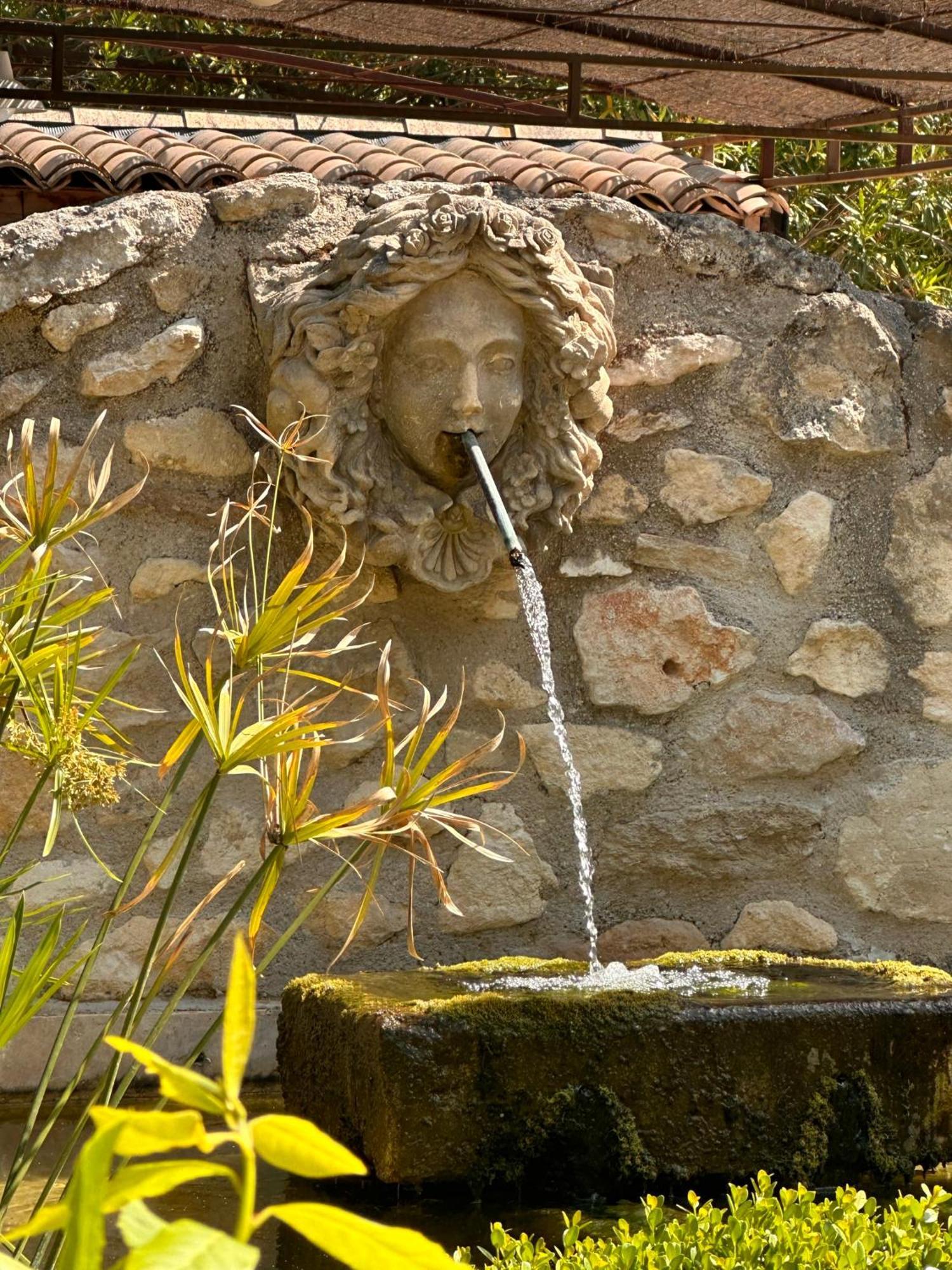 Mas Des Bambous Hotel Saint-Rémy-de-Provence Eksteriør billede