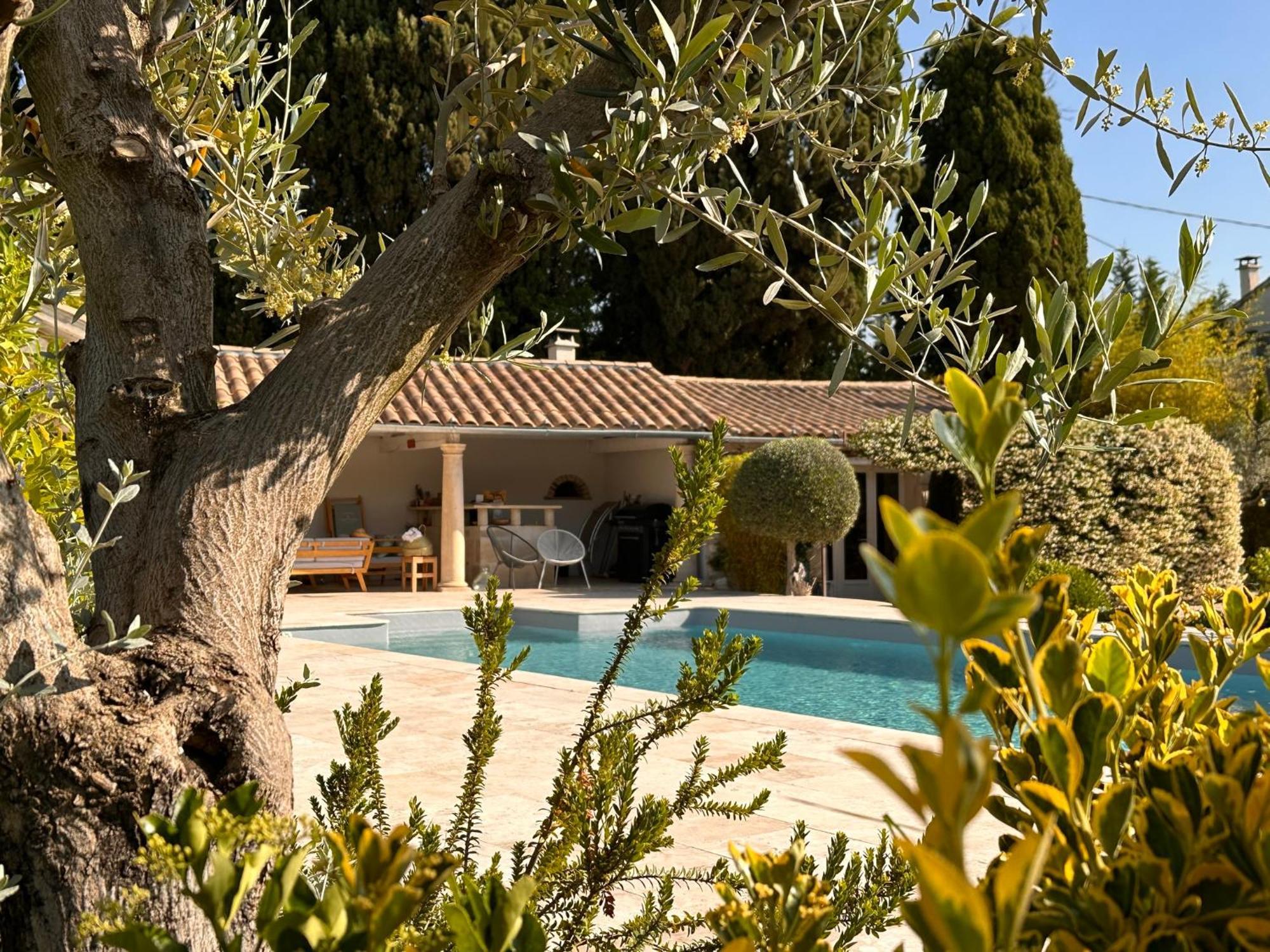 Mas Des Bambous Hotel Saint-Rémy-de-Provence Eksteriør billede