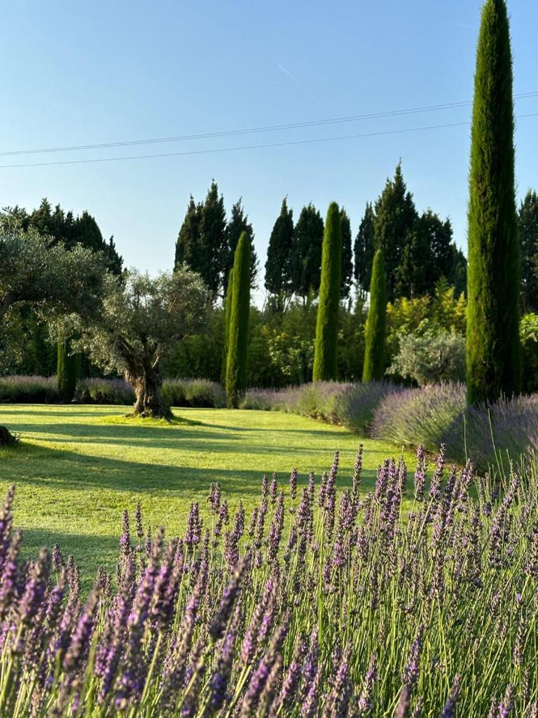 Mas Des Bambous Hotel Saint-Rémy-de-Provence Eksteriør billede
