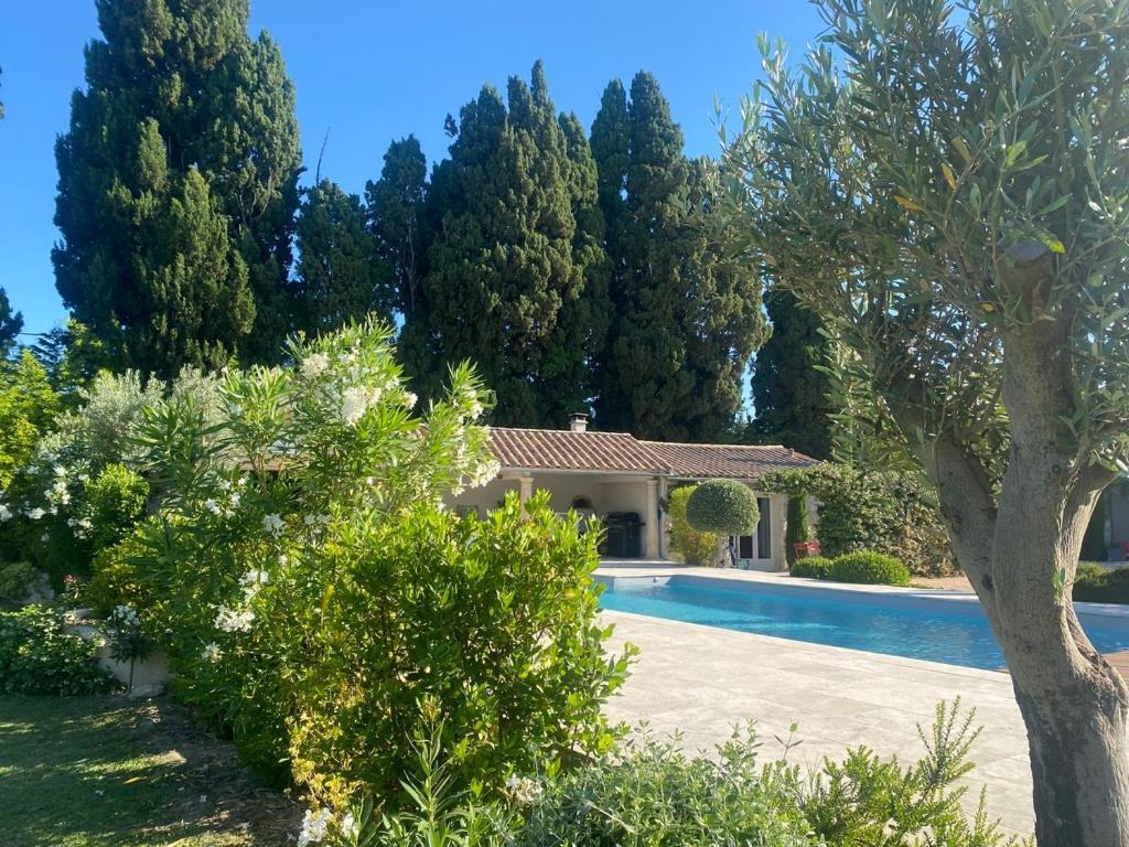 Mas Des Bambous Hotel Saint-Rémy-de-Provence Eksteriør billede